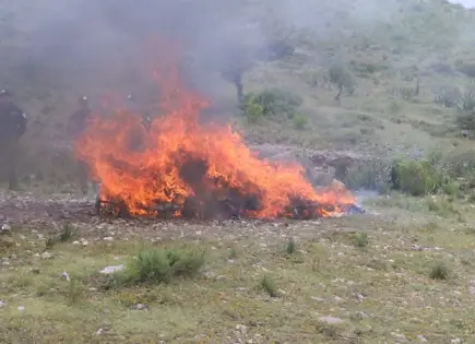 Incineran más de 187 kilos de droga incautada