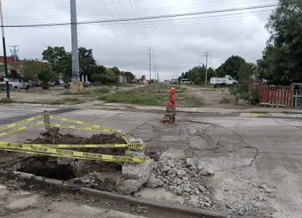 Vecinos de El Sauzalito exigen reparar daños en área verde