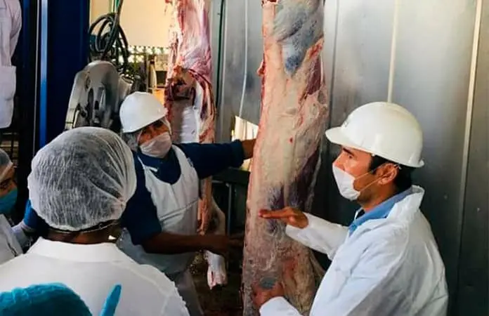 Bajó la matanza de animales en el Rastro