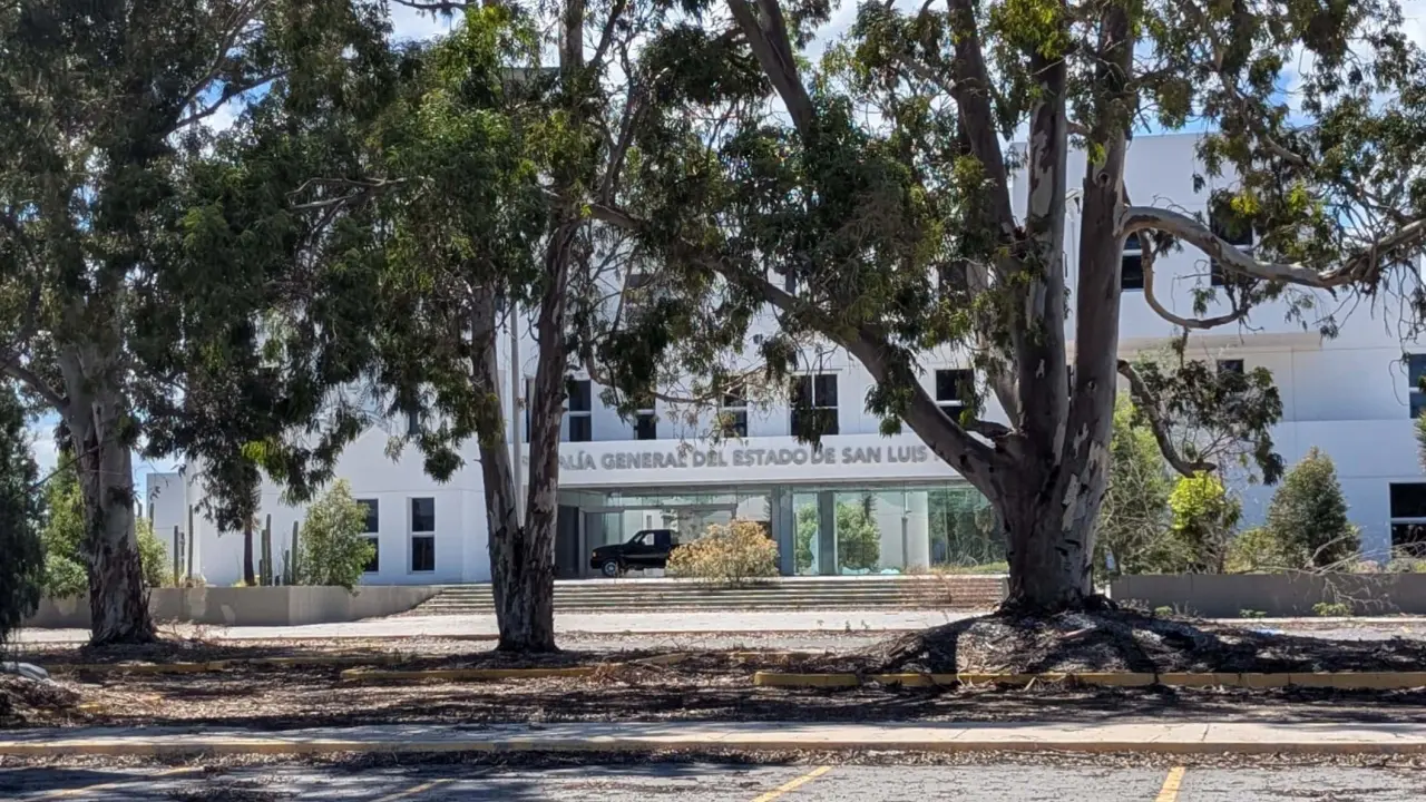 Fotos: Citlally Montaño-Pulso