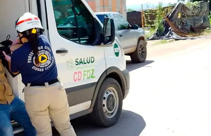 Enjambre de abejas ataca una persona y un can