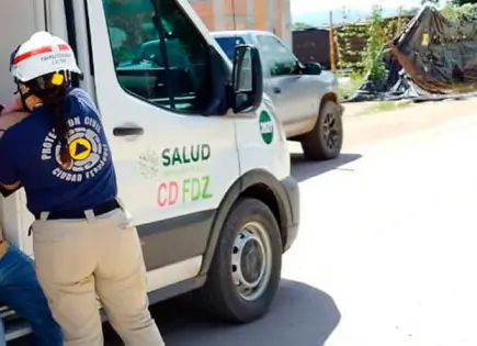 Enjambre de abejas ataca una persona y un can