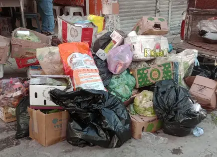 Basura invade de nuevo mercado en Ciudad Valles