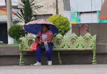 Unesco podría declarar libre de analfabetismo a Soledad de G.S. Unesco podría declarar libre de analfabetismo a Soledad de G.S.