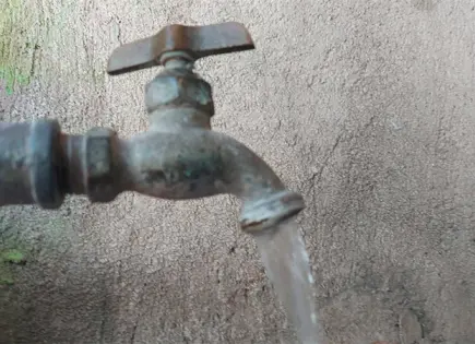 GUA de la UASLP invita a nuevos integrantes