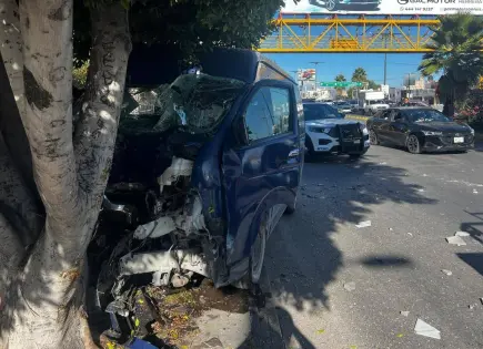 Estrellan camioneta en árbol de Salvador Nava Estrellan camioneta en árbol de Salvador Nava