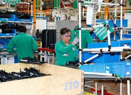 Sufre economía peor caída anual Sufre economía peor caída anual