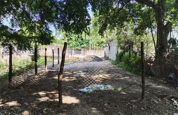 Calle Las Flores, arteria sin salida