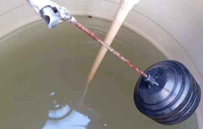 Foto: Omar Hernández/Pulso