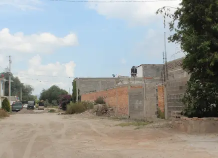 Detectan venta irregular de predios en Alpes de San Pedro Detectan venta irregular de predios en Alpes de San Pedro