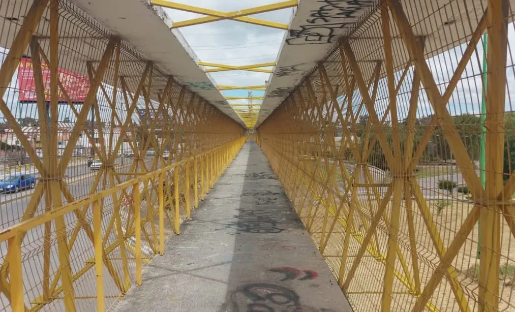 Foto: Omar Hernández/Pulso