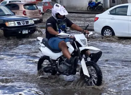 Fotos | Lo de siempre: inundaciones, apagones, casas afectadas y árboles caídos por lluvia
