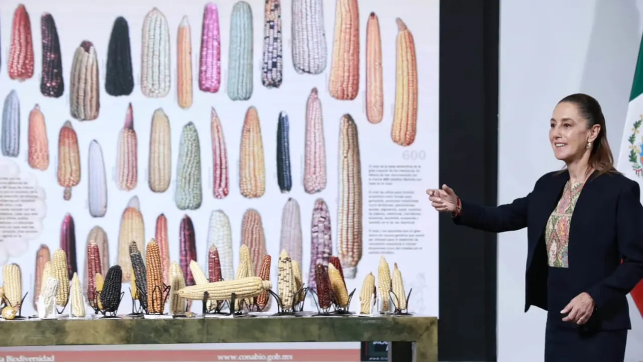 Claudia Sheinbaum / Foto: El Universal