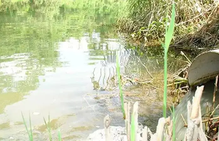 Sancionarían de nuevo a Mexichem por contaminación de río