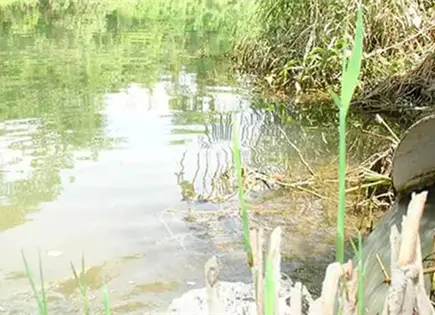 Sancionarían de nuevo a Mexichem por contaminación de río Sancionarían de nuevo a Mexichem por contaminación de río
