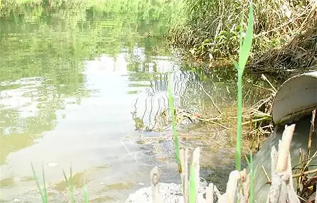 Sancionarían de nuevo a Mexichem por contaminación de río Sancionarían de nuevo a Mexichem por contaminación de río