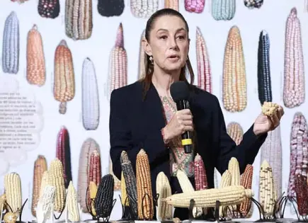 Planea CS tortillerías de maíz nativo