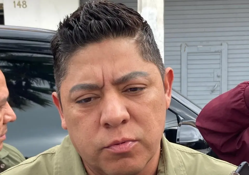 Ricardo Gallardo / Foto: Alberto Martínez-Pulso