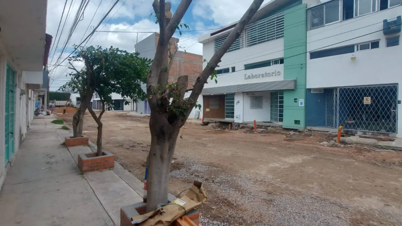 Foto: Omar Hernández/Pulso