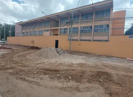 Árboles en colonia Burócratas cayeron, no fue tala: Ayuntamiento Árboles en colonia Burócratas cayeron, no fue tala: Ayuntamiento