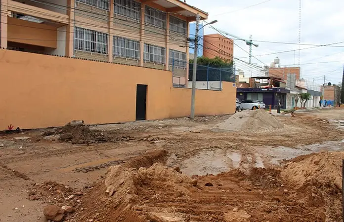 Árboles de la Burócratas tenían afecciones naturales