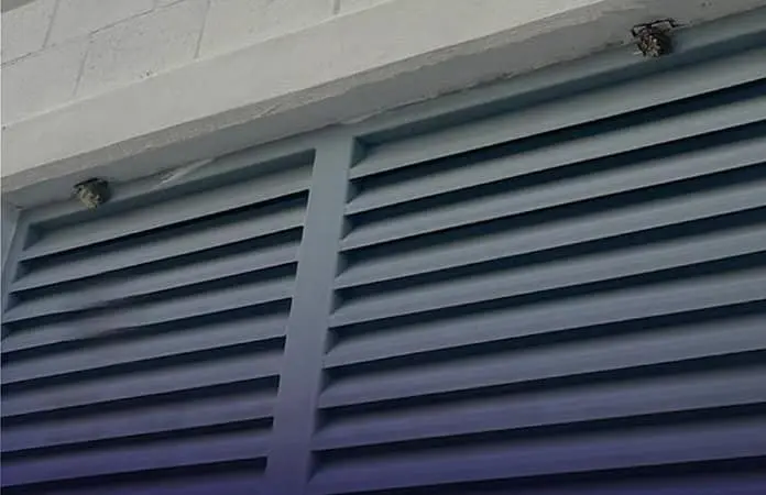 Retiran Bomberos enjambres de abejas