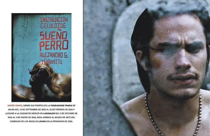 “SUEÑO PERRO”, INSTALACIÓN DE IÑÁRRITU