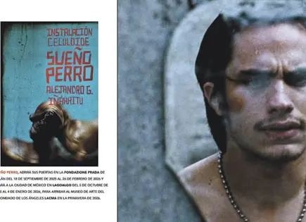 “SUEÑO PERRO”, INSTALACIÓN DE IÑÁRRITU