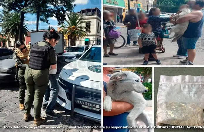 El perrito fue rescatado con vida por vecinos.