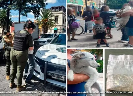 Individuo intentó ahorcar a un perrito