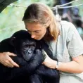 Jane Goodall La naturalista que comprendió el alma de los animales