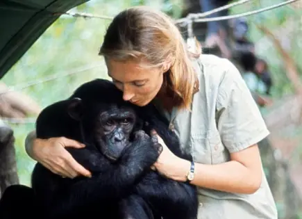 Jane Goodall La naturalista que comprendió el alma de los animales