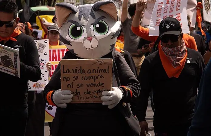 Protestan contra maltrato animal en la capital del país