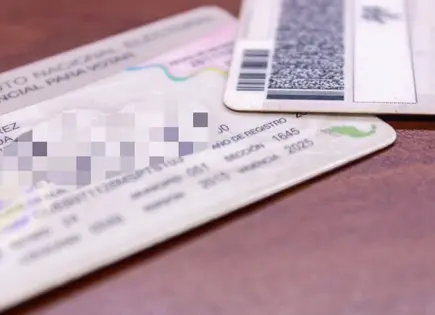 Detectan 80 INEs falsas en antros Detectan 80 INEs falsas en antros