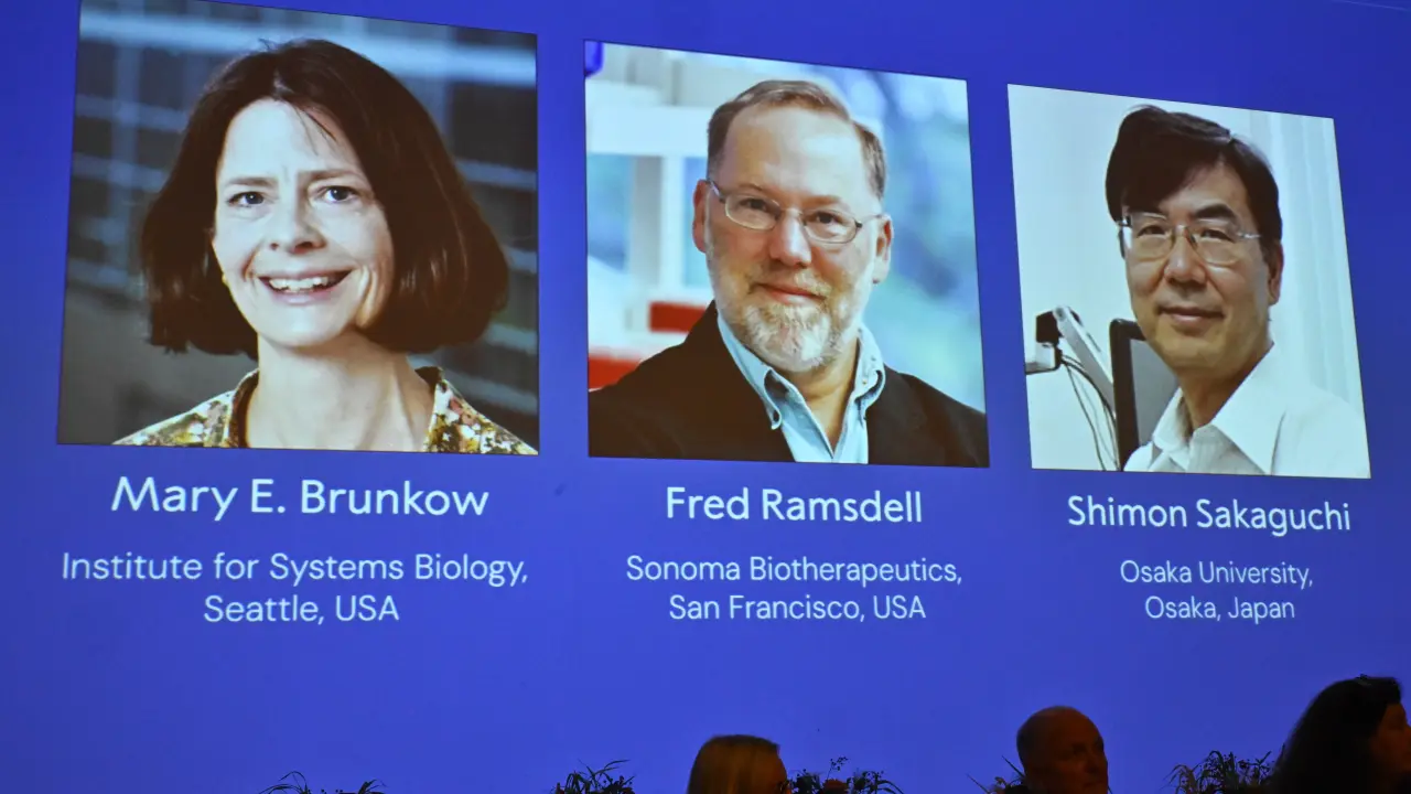 El Nobel de Medicina premia a 3 científicos por su trabajo sobre el sistema inmunológico