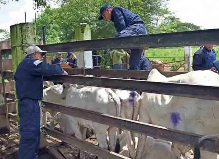 EU reconoce avances de México contra el gusano barrenador