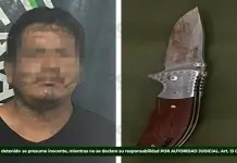 A puñaladas, sujeto mata a un perro; fue detenido