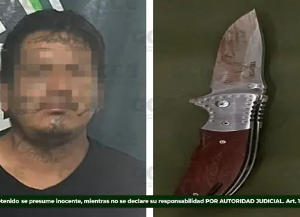 A puñaladas, sujeto mata a un perro; fue detenido