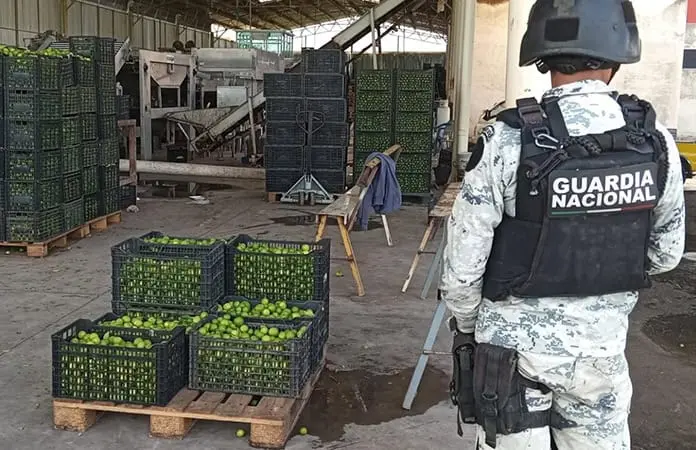 Asesinan a líder de Asociación de limoneros en Apatzingán