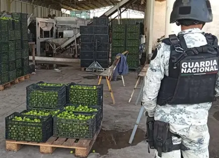 Asesinan a líder de Asociación de limoneros en Apatzingán