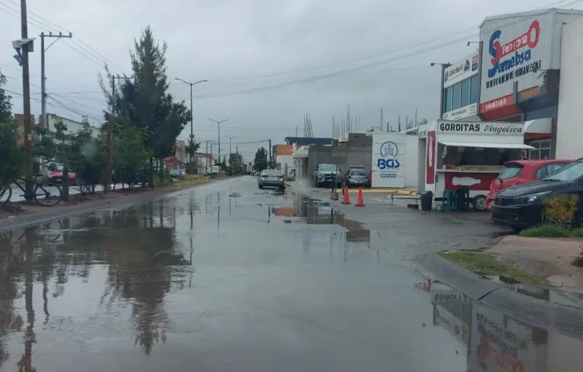 Foto: Omar Hernández/Pulso