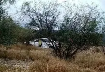 Crimen organizado, detr&aacute;s de 50% de los asesinatos: SSPC