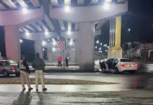 Motociclista muere arrollado en Circuito Potos&iacute;