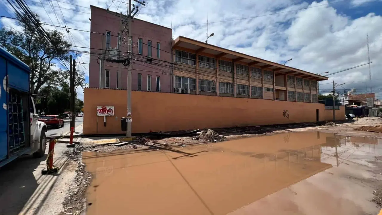 Obras públicas deberán reponer tres árboles por cada uno retirado