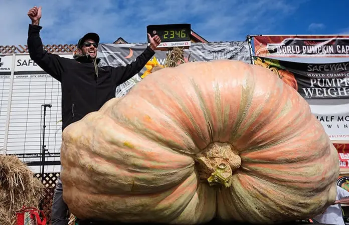 Calabaza de 1,064 kilos gana concurso en California