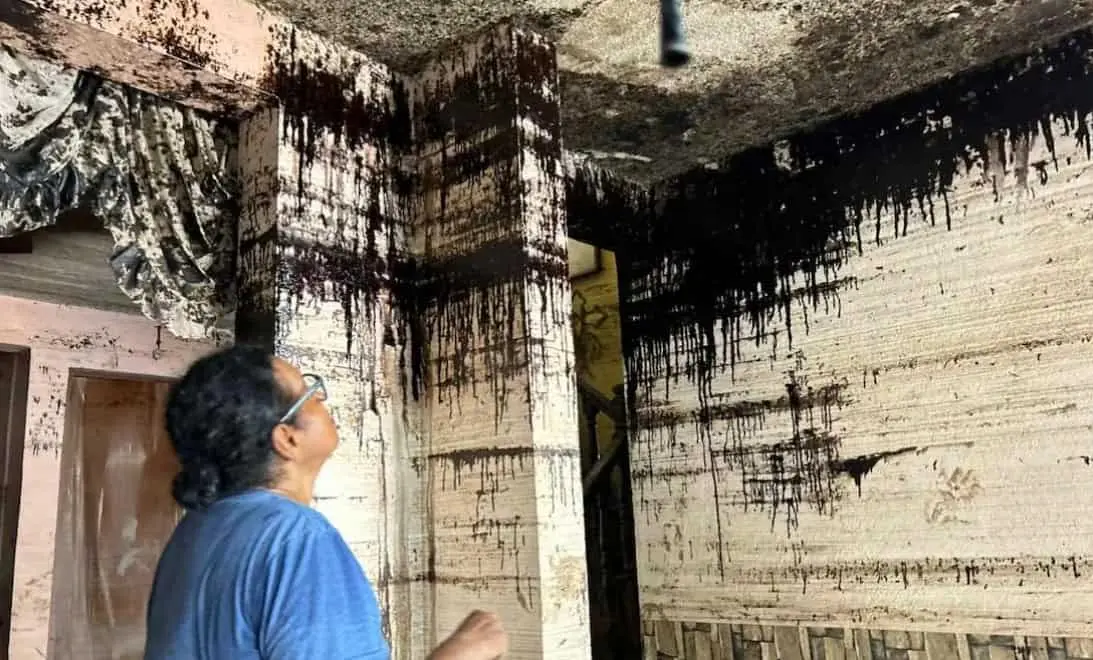 Suman 13 mil 377 viviendas censadas tras lluvias