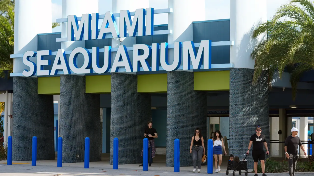 El querido y criticado Miami Seaquarium cierra sus puertas
