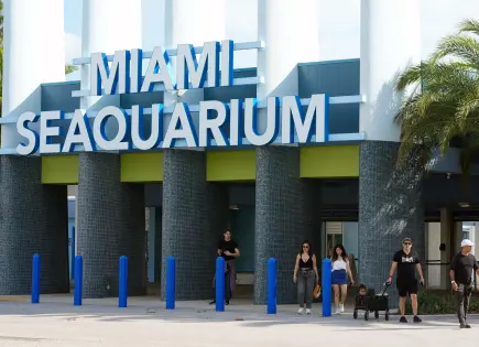 El querido y criticado Miami Seaquarium cierra sus puertas