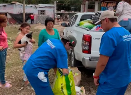 Voluntarios rescatan a mascotas afectadas por inundación en Poza Rica