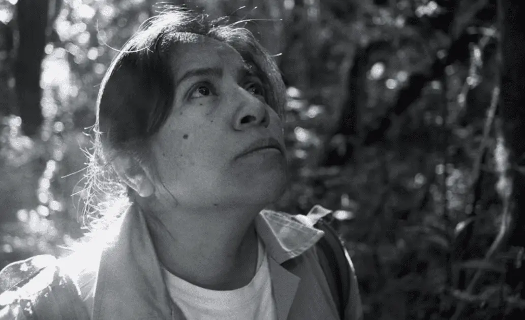 La Reserva expone los riesgos de defender la naturaleza en México